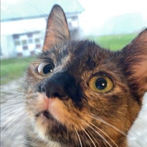 Meet your Posher, Ana